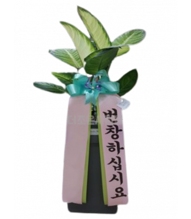 마리안느(여름)